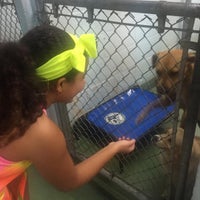 Photo taken at Miami Dade Animal Services by Carolina S. on 7/30/2015