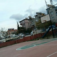 Fenerbahçe S.K. (women's basketball) - Wikipedia