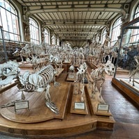 Photo taken at Galerie de Paléontologie et d&amp;#39;Anatomie comparée by Don W. on 5/15/2023