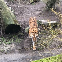 Photo taken at Copenhagen Zoo by Михо М. on 1/2/2020