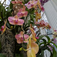 Photo taken at The Orchid Show At New York Botanical Gardens by Damien C. on 4/13/2019