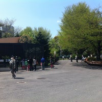Photo taken at Ueno Zoo by KYT on 4/13/2013