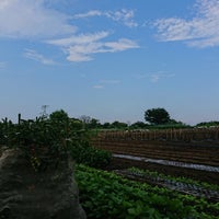 Photo taken at アカバッケ by piroko s. on 7/28/2019