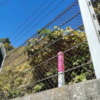 Photo taken at アカバッケ by piroko s. on 11/11/2021