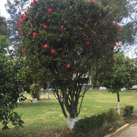 Photo taken at Instituto Nacional de Salud Pública. Sede Tlalpan by KtM on 3/8/2016