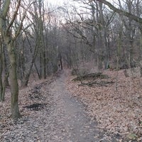 Photo taken at Přírodní park Klánovice-Čihadla by Honza G. on 12/31/2020