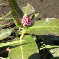 Photo taken at Panama Hill Park by SOSAUT on 6/17/2012