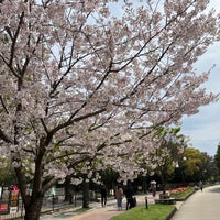 Photo taken at Ohori Park by Judi on 4/6/2024