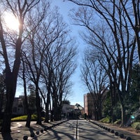 欅並木 武蔵野の大学の共有スペース 欅並木 武蔵野の大学の共有スペース