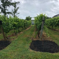 7/22/2018 tarihinde Anthony P.ziyaretçi tarafından Sunset Meadow Vineyards  SMV'de çekilen fotoğraf