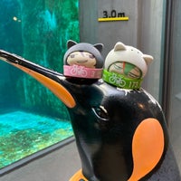 Photo taken at Nagasaki Penguin Aquarium by ほび ほ. on 3/23/2024