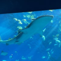 Photo taken at Shark Research Lab by Corin 8. on 3/27/2024