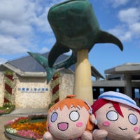 Photo taken at Okinawa Churaumi Aquarium by Corin 8. on 3/27/2024