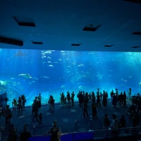 Photo taken at Ocean Expo Park by Corin 8. on 3/27/2024