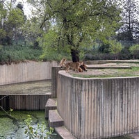 Photo taken at Zoo Aquarium de Madrid by 7EEM 👨🏻‍✈️✈️ on 3/28/2024