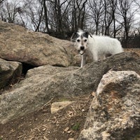 Photo taken at Fort Tryon Park Dog Run by Adam W. on 4/1/2018