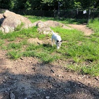 Photo taken at Fort Tryon Park Dog Run by Adam W. on 8/5/2018