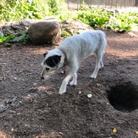 Photo taken at Fort Tryon Park Dog Run by Adam W. on 6/2/2018