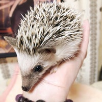 コーナン 羽曳野西浦店 1 Tip From 178 Visitors