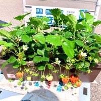 池田観光果樹園 Fruit Vegetable Store