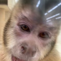 Photos At ペット アミ 河渡店 Pet Store In 新潟市東区