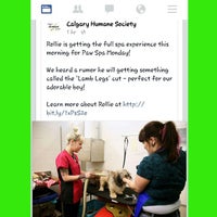 calgary humane society