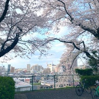 Photo taken at いろは坂桜公園 by maye on 4/7/2024