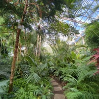 Das Foto wurde bei Botanická záhrada UK von Yuliia H. am 9/25/2021 aufgenommen