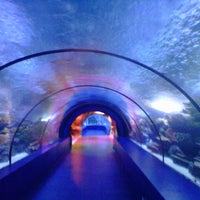 Foto diambil di Antalya Aquarium oleh Ulaş T. pada 10/2/2012