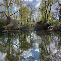 Photo taken at Teich im Ernst-Thählmann-Park by Nadja N. on 4/2/2023