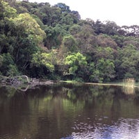 Photo taken at Lago das Carpas by Danilo Nunes D. on 11/11/2012