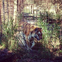 Photo taken at Big Cat Rescue by Courtney B. on 11/3/2014