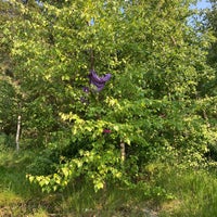 Photo taken at Mustikkamaan kalliot by himasenlaura on 6/20/2021