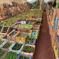Photo taken at Mercado de Plantas y Flores  Madreselva by Adolfo G. on 6/2/2021