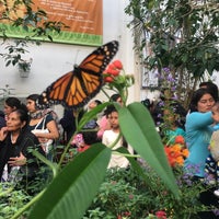 3/4/2017 tarihinde Marco A.ziyaretçi tarafından Mariposario Chapultepec'de çekilen fotoğraf