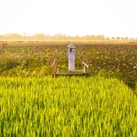 Foto tomada en Rutas Vietnam  por Rutas Vietnam el 8/25/2015