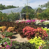 Joseph S Nursery Pearland Tx Photo Taken At Joseph 39 S Nursery By Stephanie W On 6