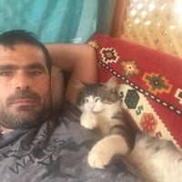Bemente Koltuk