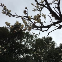 Photo taken at 桐生市南公園 by ぺろん on 2/13/2016