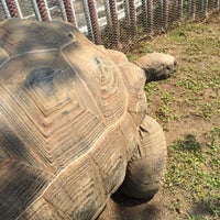 ふれあい動物王国 阿蘇ファームランド 南阿蘇村 熊本県 ふれあい動物王国 阿蘇ファームランド 南阿蘇村 熊本県