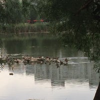 Photo taken at Большое Озеро на Чуйкова by Angelins_a on 8/18/2016