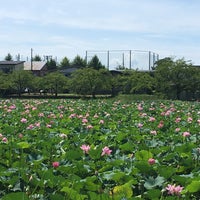 Photo taken at Takada Castle Site Park by toporun K. on 8/14/2018