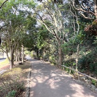 Photo taken at Denenchofu Seseragi Park by Satoken on 1/13/2023