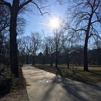 Kleiner Tiergarten Mitte 7 tips