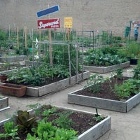 Vedgewater Community Garden Peterson Garden Project Edgewater