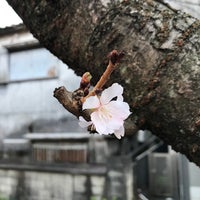 Photo taken at 墨堤植桜の碑 by Hisae H. on 1/5/2022