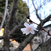 Photo taken at 墨堤植桜の碑 by Hisae H. on 1/5/2022