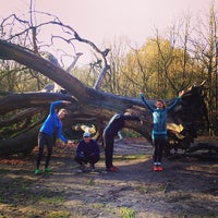 Photo taken at Hampstead Heath Broken tree by David G. on 12/20/2013
