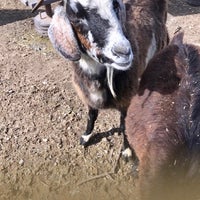 Das Foto wurde bei Bay Natives Nursery von KaylanS am 2/12/2017 aufgenommen