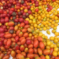 Photo taken at Jackson Heights Greenmarket by Melanie W. on 9/20/2015